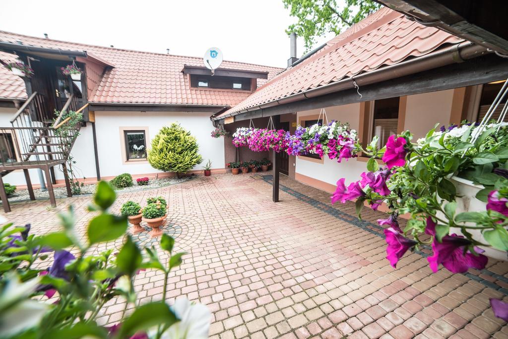 Bed and Breakfast Gosciniec Czapla Дывиты Экстерьер фото